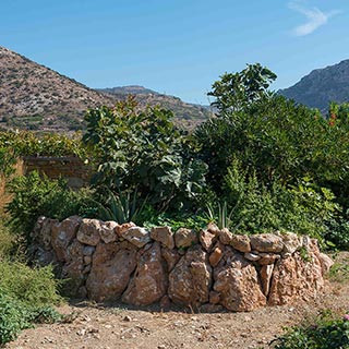 Βραχόκηπος στο Villa River στη Σίφνο